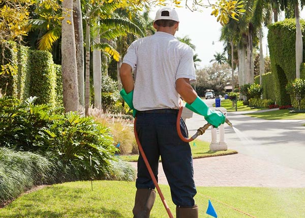 About Dividing Creek NJ Pest Control Pros